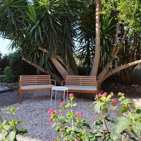 La Domus Di Cosa Bed & Breakfast Ansedónia Dış mekan fotoğraf