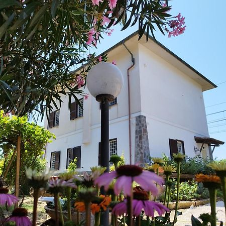La Domus Di Cosa Bed & Breakfast Ansedónia Dış mekan fotoğraf