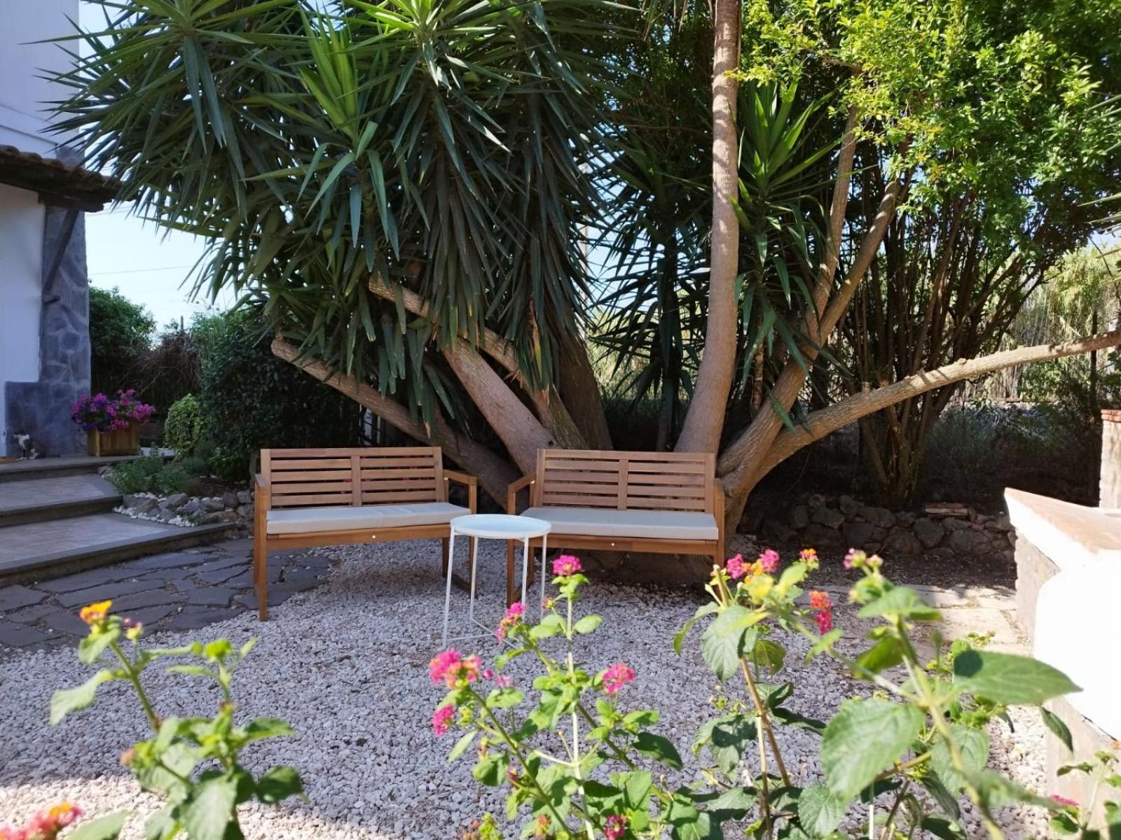 La Domus Di Cosa Bed & Breakfast Ansedónia Dış mekan fotoğraf
