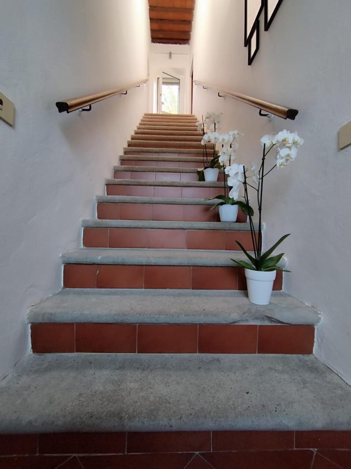 La Domus Di Cosa Bed & Breakfast Ansedónia Dış mekan fotoğraf