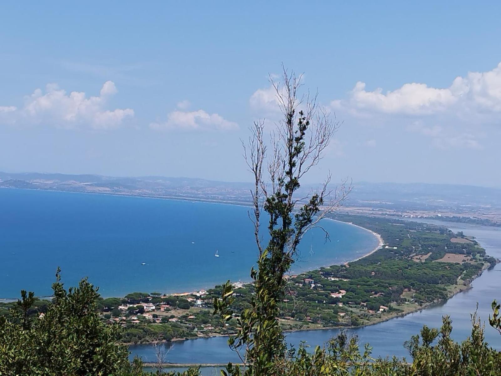 La Domus Di Cosa Bed & Breakfast Ansedónia Dış mekan fotoğraf