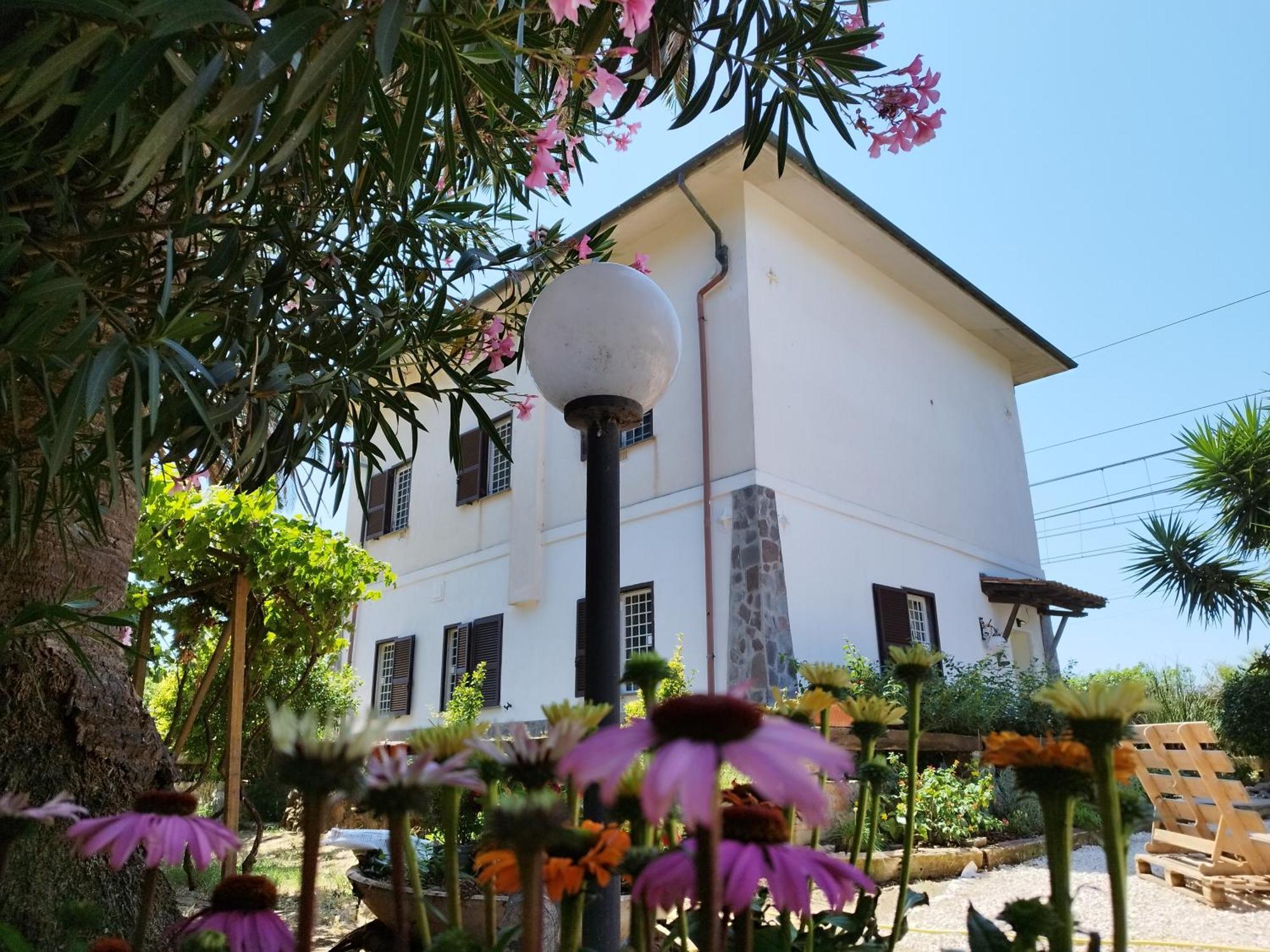 La Domus Di Cosa Bed & Breakfast Ansedónia Dış mekan fotoğraf